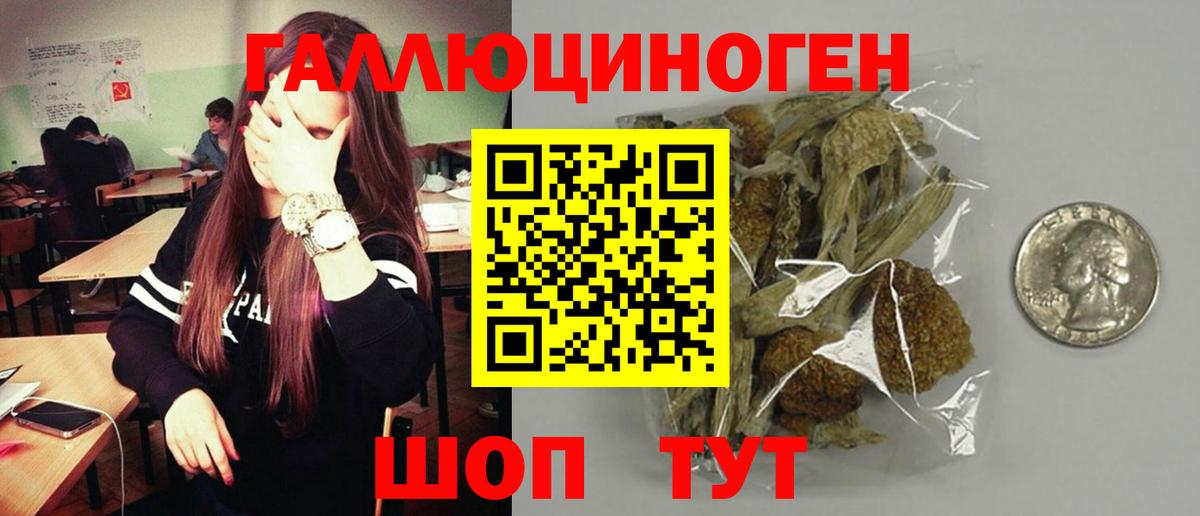 Псилоцибиновые грибы Cubensis Саров