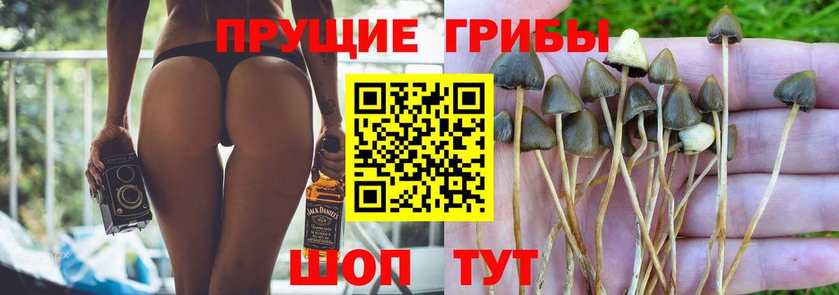 Псилоцибиновые грибы Psilocybe  Галлюциногенные грибы Magic Shrooms  Вход с VPN  Саров 